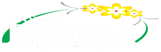 Logo Casa da Ritinha